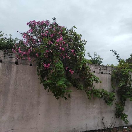 Le Clos Des Coquelicots Toulouse Exterior foto